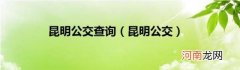 昆明公交 昆明公交查询