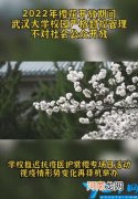 官宣来了 武汉大学今年樱花盛开期间对外开放吗
