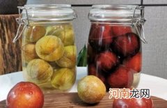 李子酒每天喝多少为宜 自酿李子酒需要放冰箱吗