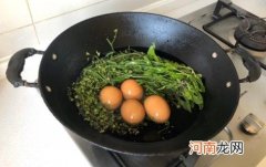 荠菜水煮鸡蛋治头疼和头晕吗 荠菜花煮鸡蛋治偏头痛是真的吗