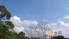 2022年国庆天气是冷是热 2022年国庆期间温度一般多少