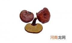 灵芝怎么吃一次吃多少 灵芝的正确吃法与用量与禁忌