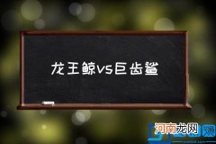 龙王鲸vs巨齿鲨,龙王鲸厉害还是虎鲸厉害？