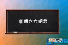 唐朝六大明君,唐朝明君排名？