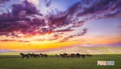 比如县海拔多少米