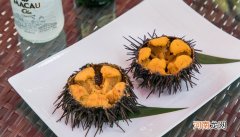 海胆可以生吃吗