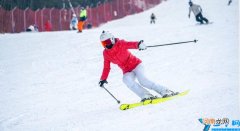 教练心得与体会总结 双板滑雪技巧