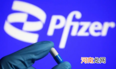 辉瑞新冠口服药多少钱一盒