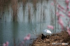 为什么刮西南风钓不到鱼 西南风为什么钓不到鱼