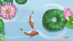 相濡以沫是什么意思