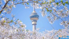 时间+门票 2022玉渊潭樱花节赏樱攻略