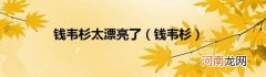钱韦杉 钱韦杉太漂亮了