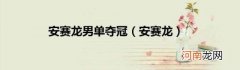 安赛龙 安赛龙男单夺冠