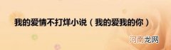 我的爱我的你 我的爱情不打烊小说
