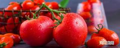 番茄营养 西红柿有什么营养价值