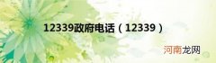 12339 12339政府电话