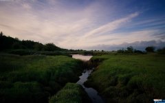 社保卡号是多少位 社保卡号怎么查询