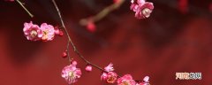 已是悬崖百丈冰的下一句 已是悬崖百丈冰下一句