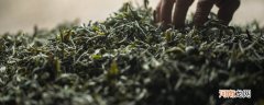 安化黑茶属于哪种茶 安化黑茶属于什么茶