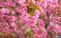 精选100个 胶组词