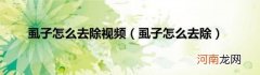 虱子怎么去除 虱子怎么去除视频
