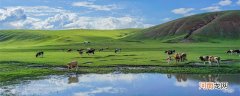 蒙古国的传统产业是什么 蒙古国的传统产业是哪些