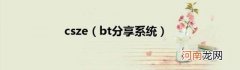 bt分享系统 csze