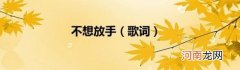 歌词 不想放手