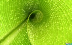 安慰失去亲人的暖心话 逝者安息生者坚强