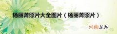 杨丽菁照片 杨丽菁照片大全图片