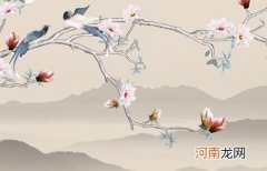 2023年2月2日出生好听还霸气的男孩名字 60个高档名字分享