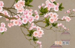 2023年2月3日男孩100分名字 兔年曾姓男宝宝有才华的名字