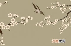 2023年爸爸姓林给孩子取个名字 属兔男孩最好的名字