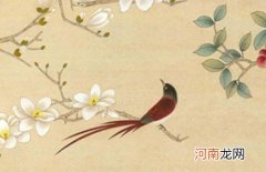 2023卯兔年出生女孩起名分享 兔年寓意好的宝宝名字