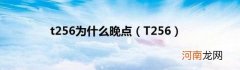 T256 t256为什么晚点