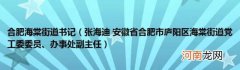 张海迪安徽省合肥市庐阳区海棠街道党工委委员、办事处副主任 合肥海棠街道