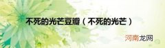 不死的光芒 不死的光芒豆瓣