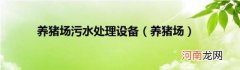养猪场 养猪场污水处理设备