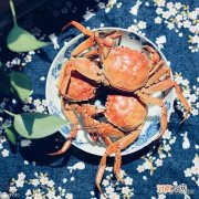 李晨创业 李晨创业家