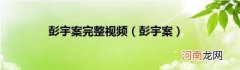 彭宇案 彭宇案完整视频