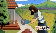 中秋节去上坟好吗 2022中秋节可不可以上坟烧纸