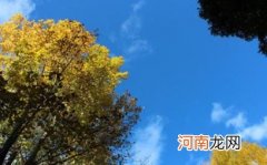 广东中秋过后是不是就冷了 2022广东中秋过后还热吗