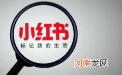 趣丁网 小红书播放量有收益吗怎么变现