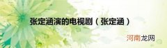张定涵 张定涵演的电视剧