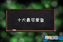 十大最可爱鱼,鱼的名字可爱而好听？