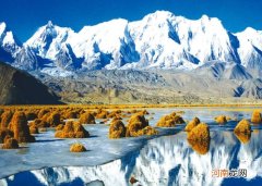 新疆特产有哪些好吃的能带走的 新疆有什么特产