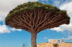 命中缺金的男孩叫什么名字带财 2023年自带财富的男宝宝起名