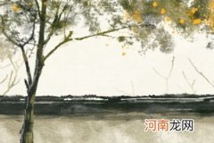 2023年命中缺金和水的男孩名字 寓意兔宝宝受人尊重