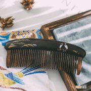 中国最好的梳子牌子排行榜 梳子品牌十大排行榜