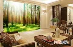 客厅装饰画的清洁与保养方法